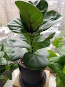 20201011_122921.jpg