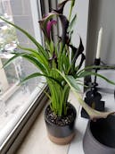 20201011_123154.jpg