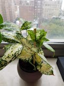 20201011_122904.jpg