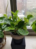 20201011_122913.jpg