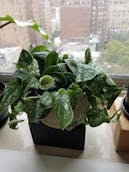 20201011_122927.jpg