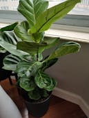 20201011_123417.jpg