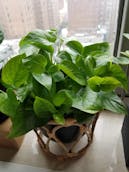 20201011_122917.jpg