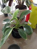 20201011_123055.jpg