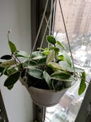 20201011_123018.jpg