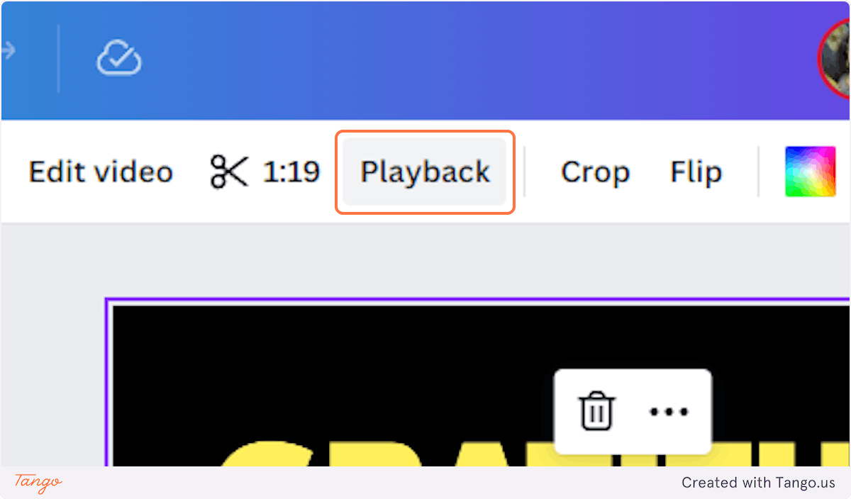 Adjust Playback Options