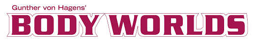 GVH BODY WORLDS.png