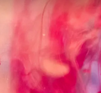 Screen Shot 2021-07-22 at 4.44.40 PM.png