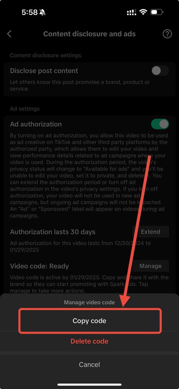 photo_2024-12-30 18.02.30.jpeg