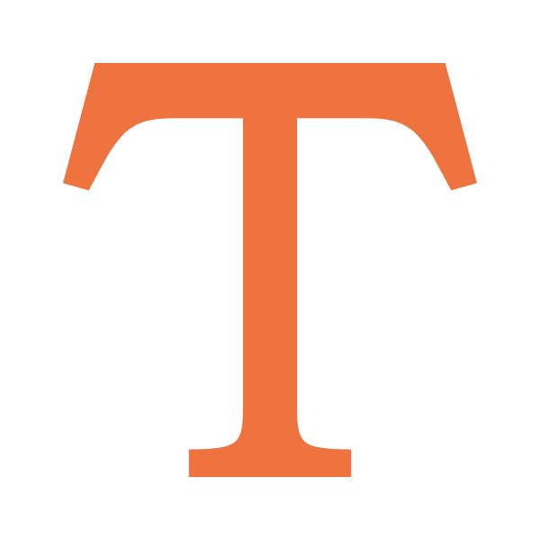 Chips-Text-Single-Icon-orange.png