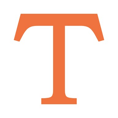 Chips-Text-Single-Icon-orange.png