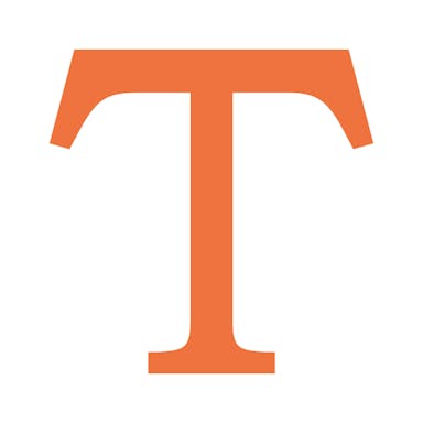 Chips-Text-Single-Icon-orange.png
