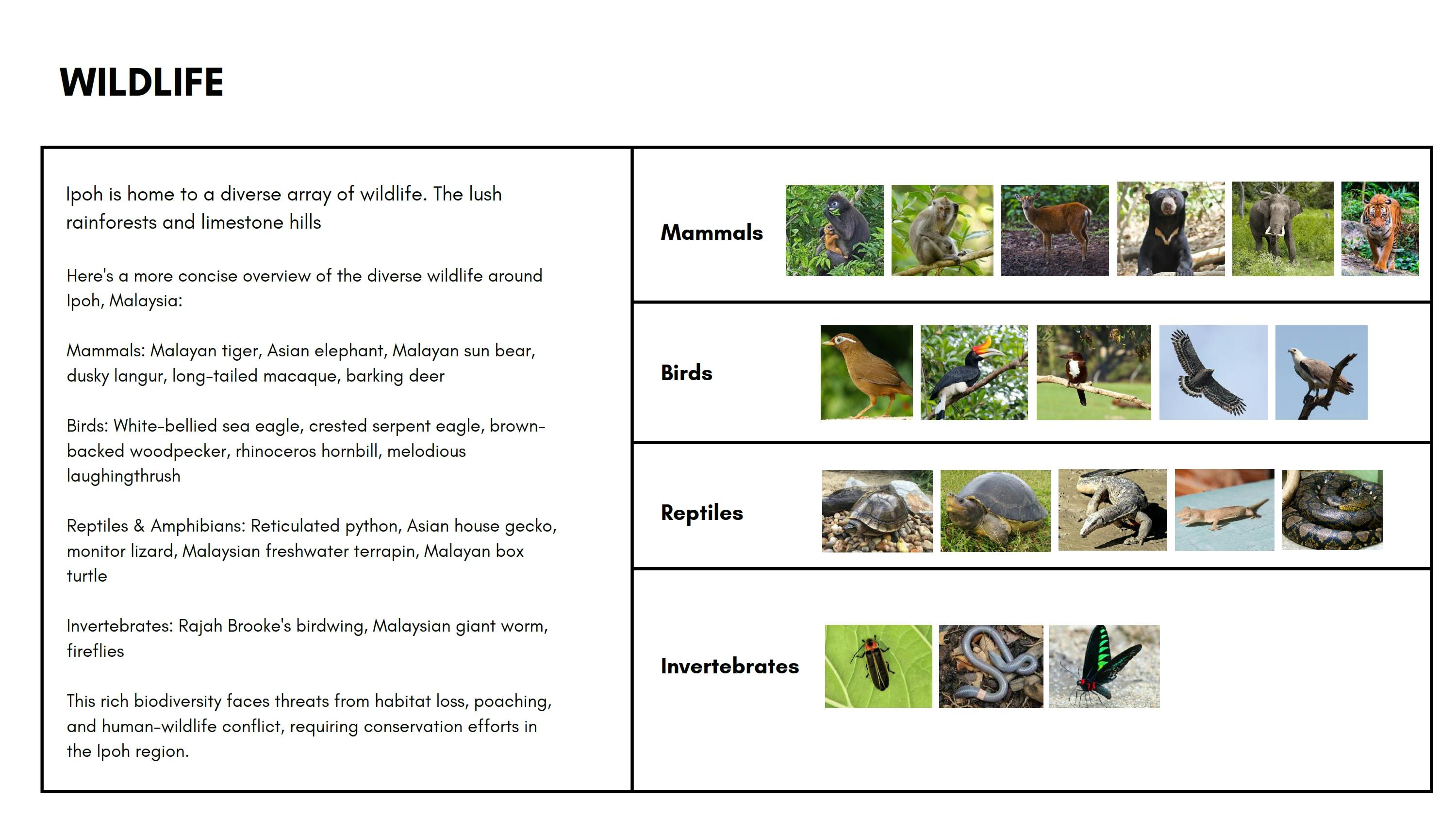 urban studies all_053.jpg