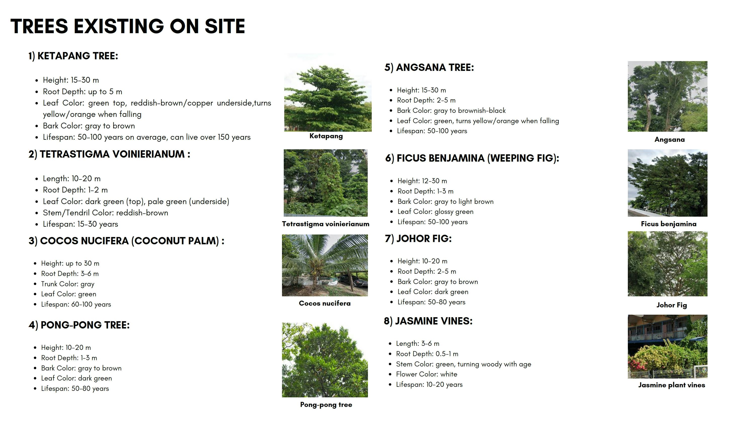 urban studies all_051.jpg