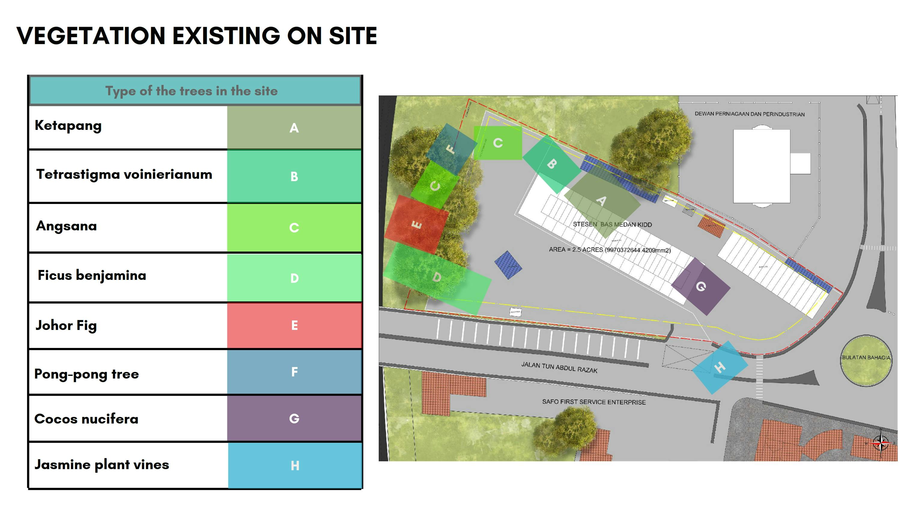 urban studies all_052.jpg