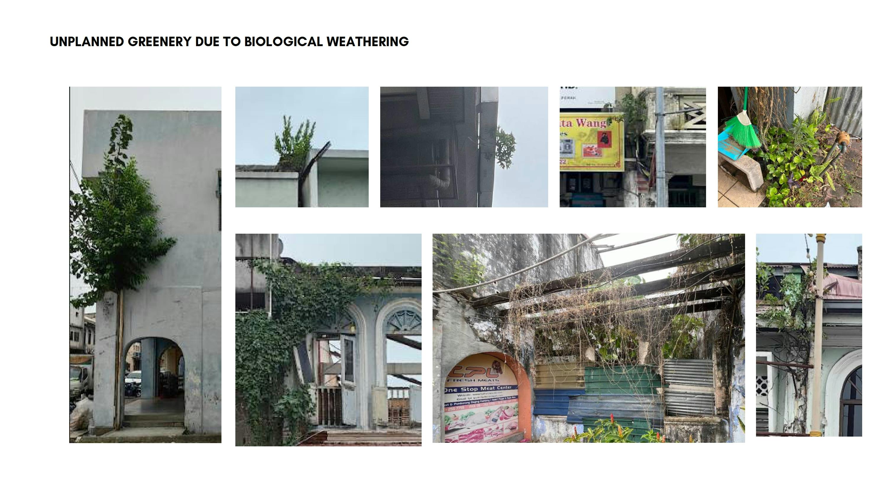 urban studies all_068.jpg