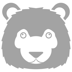 np_bear_2430916_929292.png