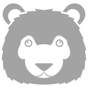 np_bear_2430916_929292.png