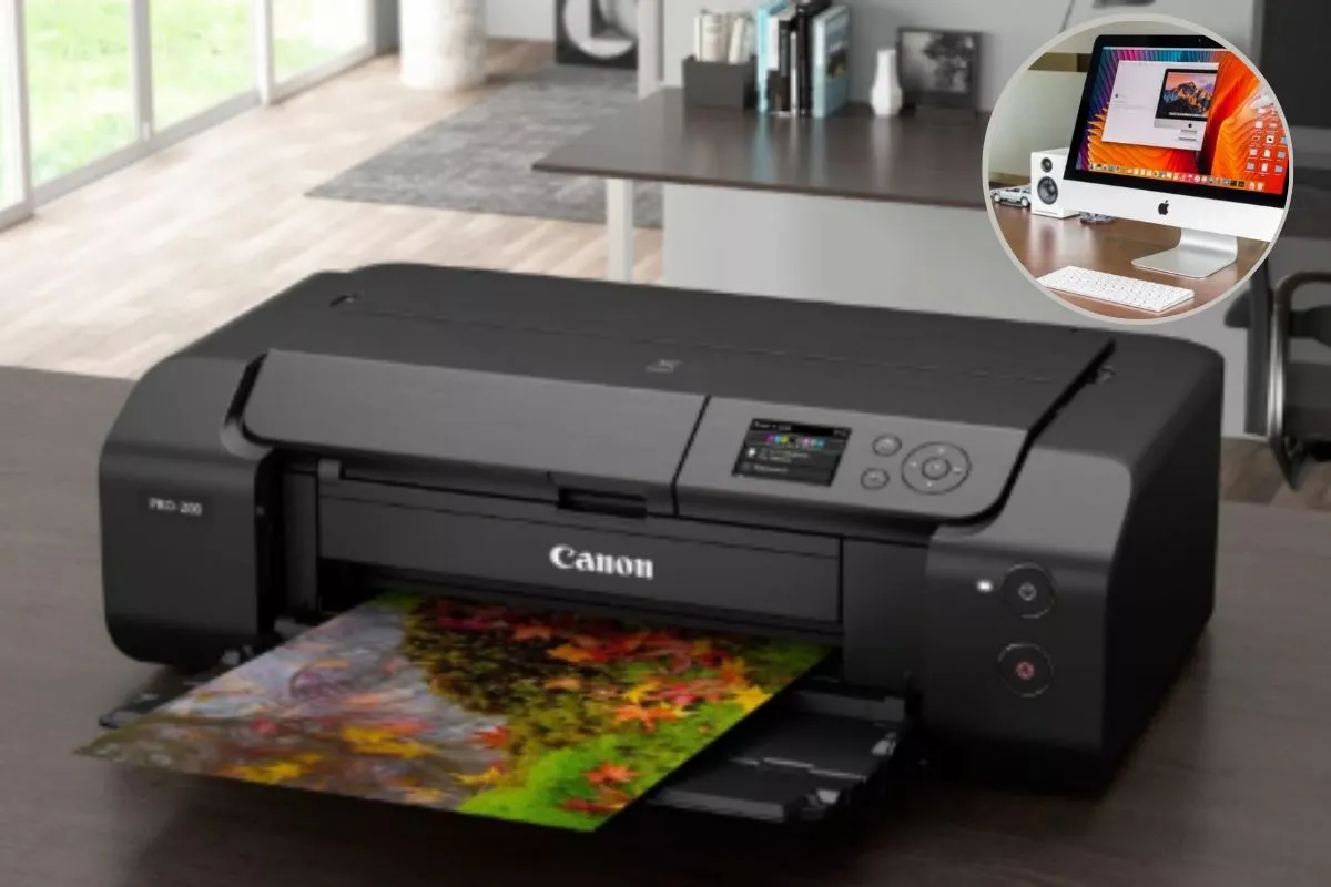 Canon Printer Offline on Mac and Windows.jpg