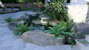 Fresh_44 - Photo.jpg