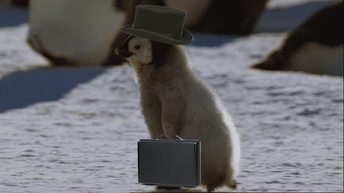 giphy-downsized (8).gif