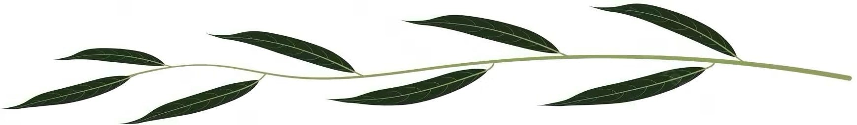 wedding event Musicien belge compositeur cover pop rock reprises guitare chanteur chant piano handpan mariage laïque chateau ferme cérémonie love songs groupe band