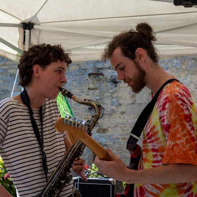 Guitariste, Musicien belge auteur compositeur interprète 