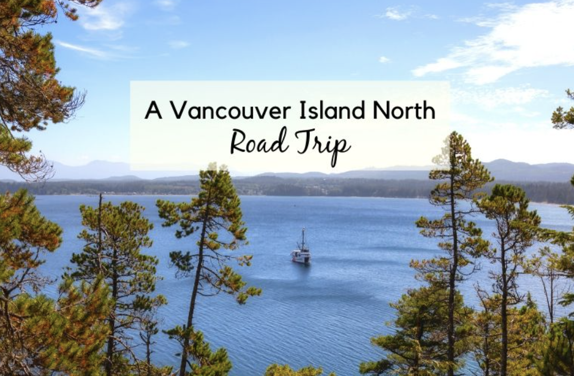 Screen Shot 2023-06-10 at 12.04.34 PM.png