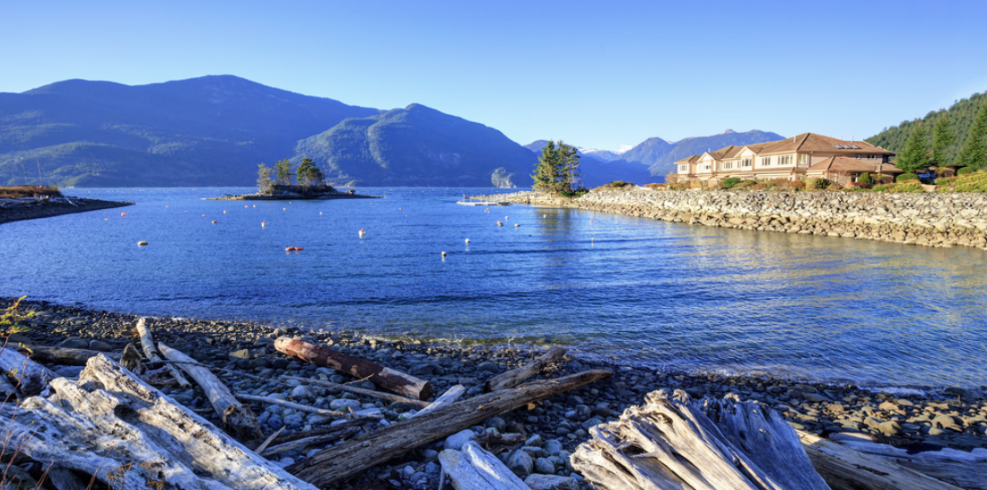 Screen Shot 2023-06-10 at 11.57.37 AM.png