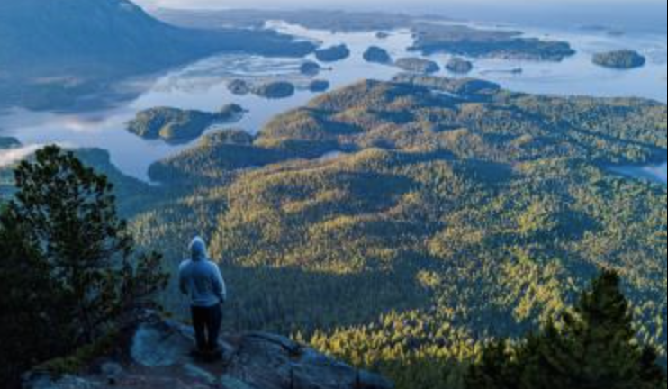 Screen Shot 2023-06-10 at 12.05.09 PM.png