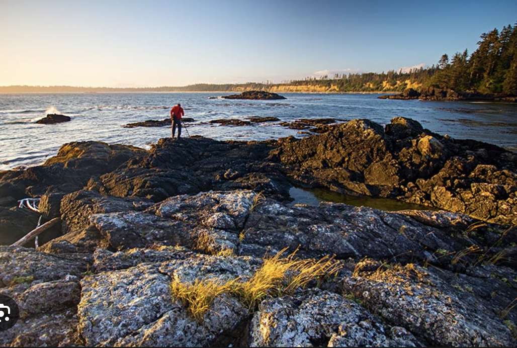 Screen Shot 2023-06-10 at 12.13.15 PM.png