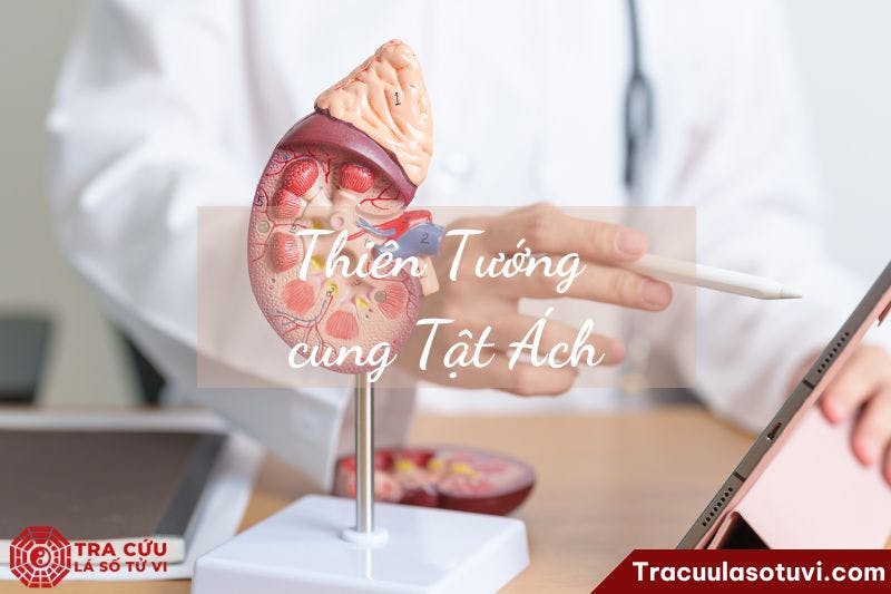 Thiên Tướng cung Tật Ách