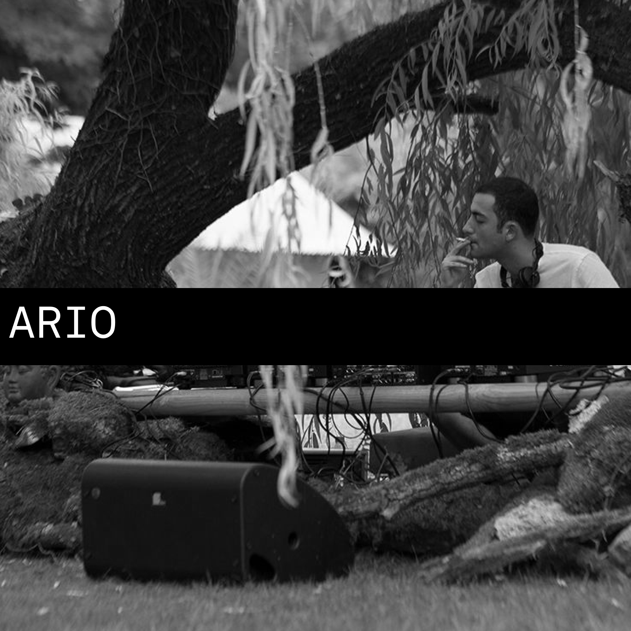 Frame 28991388.png