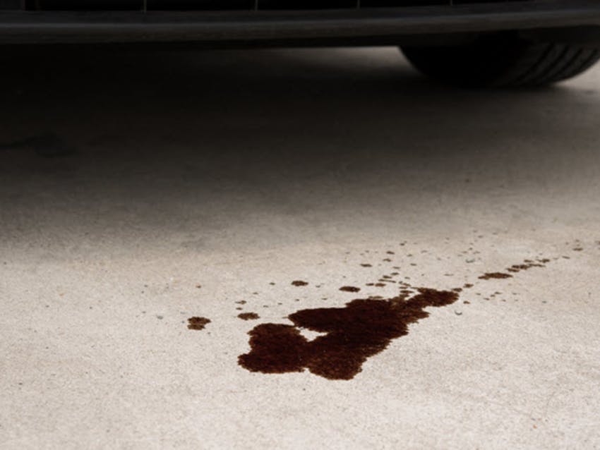 Oil Leak