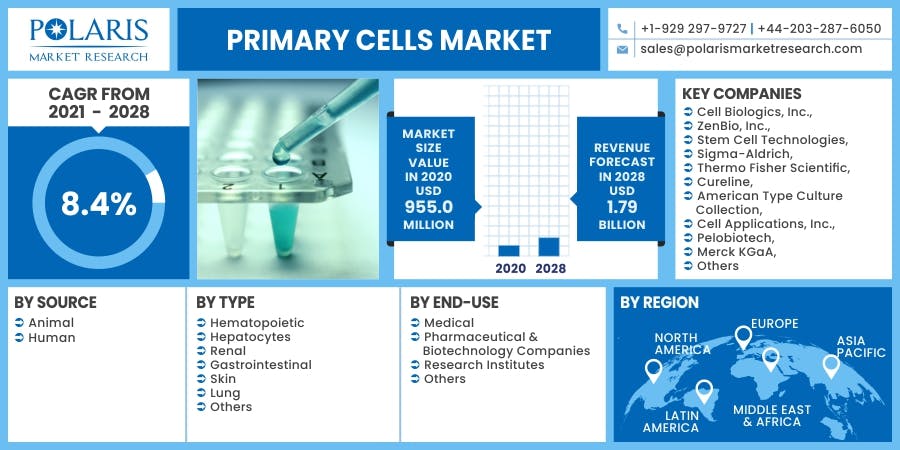 Primary Cells Market.jpg
