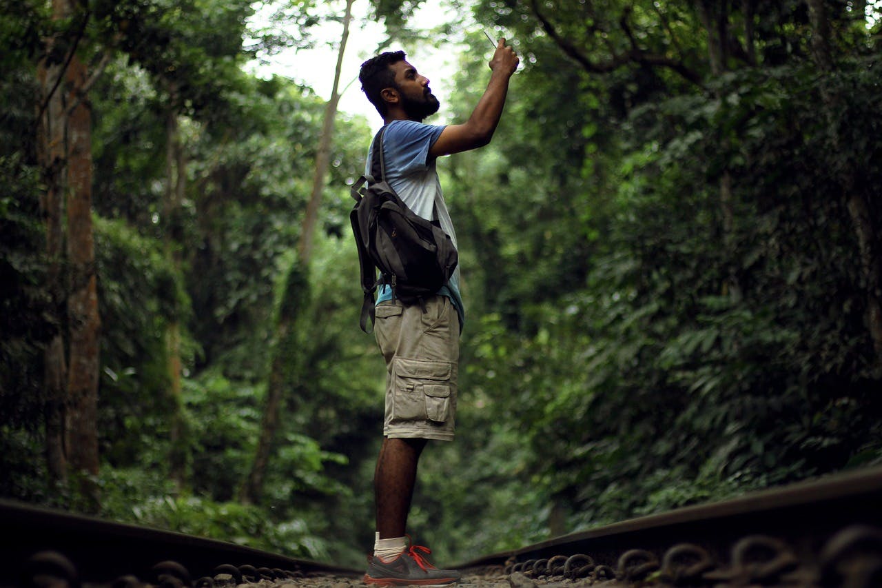 Salman Behbehani Traveller Jungle.jpg