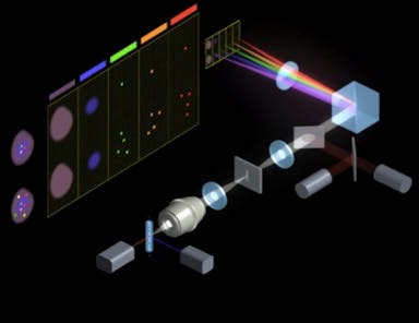 flow_cytometry.jpg