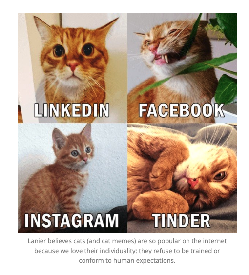 CleanShot 2022-04-18 at 15.43.52.png