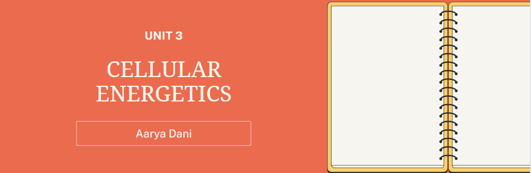 Unit 3: Cellular Energetics · AP Biology Notes