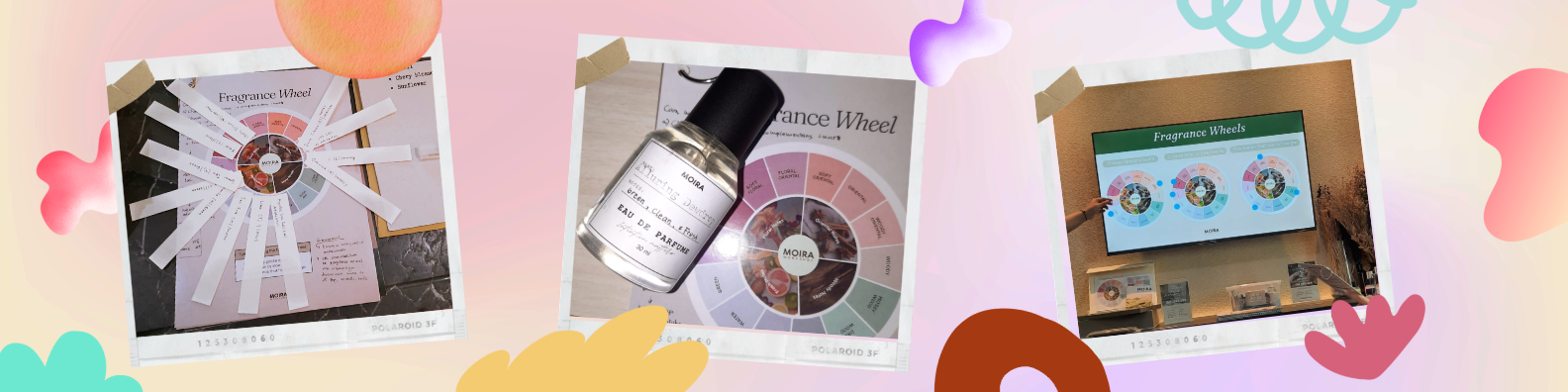 Projects Photo-7.png