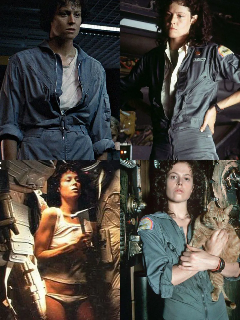 IMAGE 2023-11-13 12_09_31.jpg