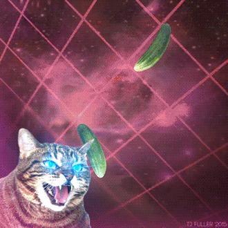 Lazer cats3.gif