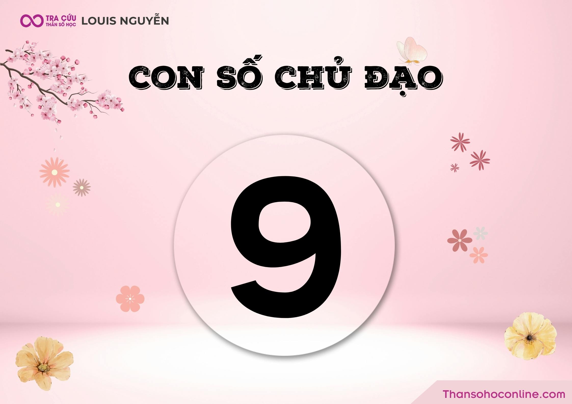 Chỉ số đường đời 9 trong thần số học có ý nghĩa gì?