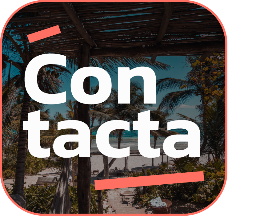 contacta