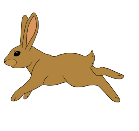 rabbit_run