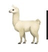 llama