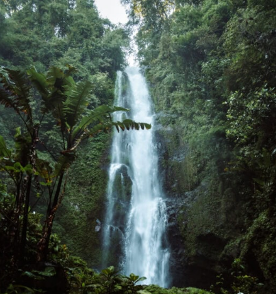 munduk