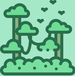 jungle